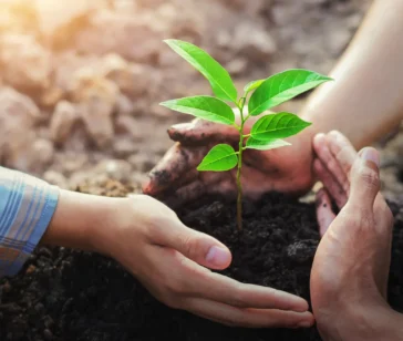 AdobeStock_227308714-1