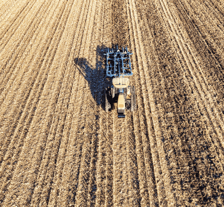 Untitled design (30)