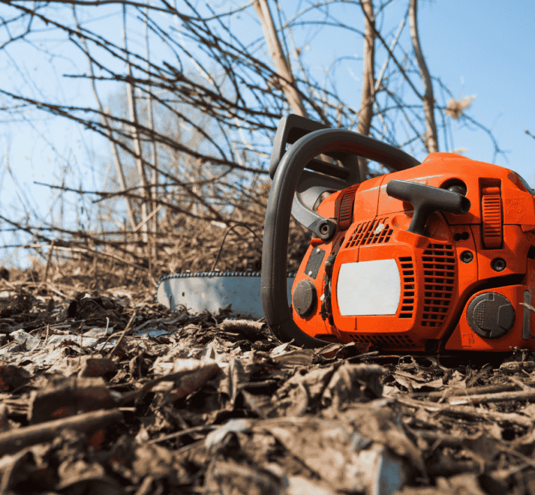 Untitled design (33)