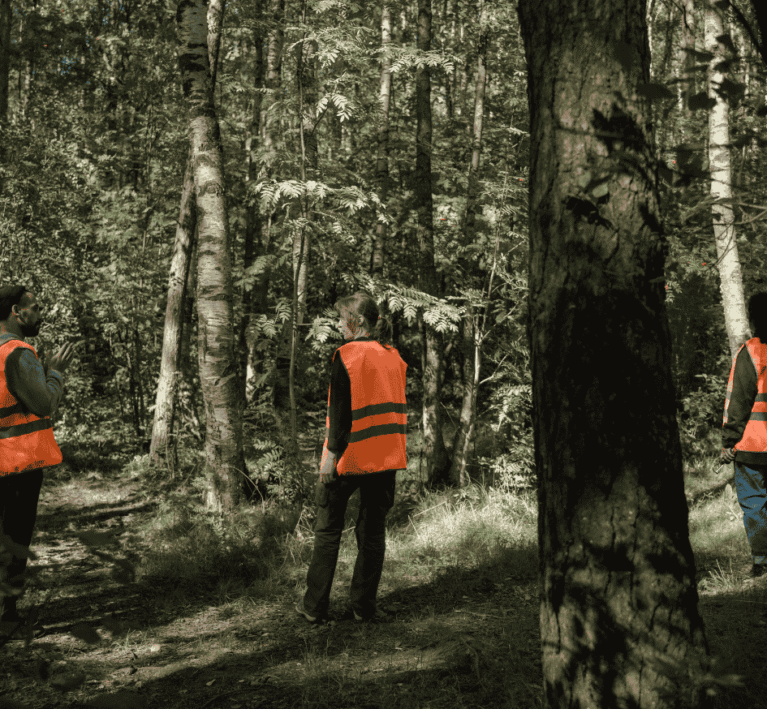 Untitled design (35)