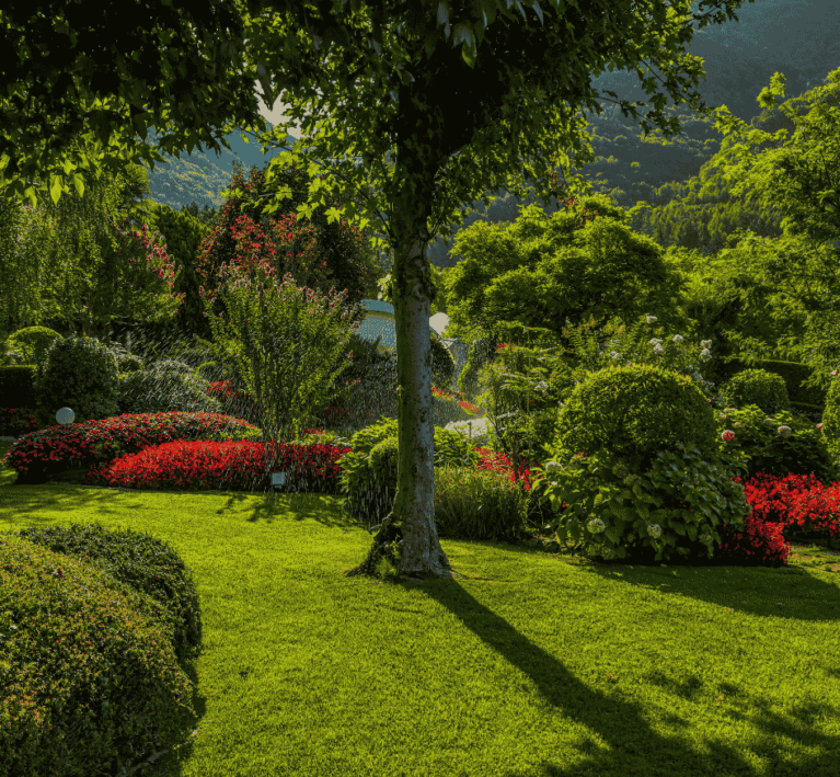 Untitled design (36)