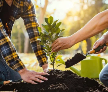 shutterstock_2138882033-scaled